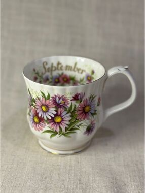 Royal Albert Bone China September Michaelmas Daisy Flower of the Month Teacup